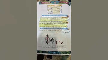 ملزمة قاسم منتصر 2024 الفصل الاول فقط لجديده لي يريده يجي خاص تلي بلتعلقيات 