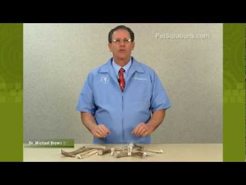petsolutions:--prairie-dog-deer-antler-dog-chews