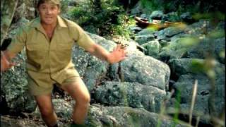 Buffalo Chicken Hunter - Subway Restaurants - Steve Irwin