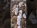 Saudi Arabia for this year's Hajj ... #hajjpackage #viralvideo #makkah #socialvideo #onlinevideo