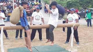 Tribal Indigenous Games | Pillow Fight Mens & Women #islandvibewidmoses screenshot 5