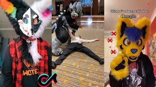 🐱 Furry Memes - Dino Mask TikToks Compilation #16