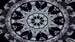 growing patterns (2003,generative works using original software)