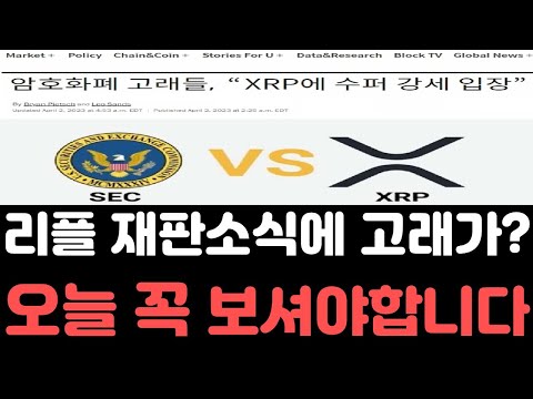 리플전망 리플 SEC와의 재판 일정 공개 소식에 XRP 고래들이 등장하기 시작했다 오늘 영상은 꼭 보셔야합니다 리플전망 리플호재 리플급등 리플코인 리플소송 리플시세 