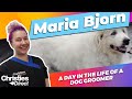 Maria Bjorn: A day in the life of a dog groomer