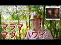 ♪Mālama Mau Hawaiʻi（マラマ・マウ・ハワイ）【サクッと解説！ハワイアンソング#13】