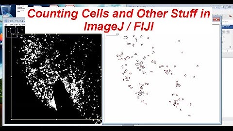 Demo of automated cell or c-Fos counting with ImageJ / FIJI (2021)