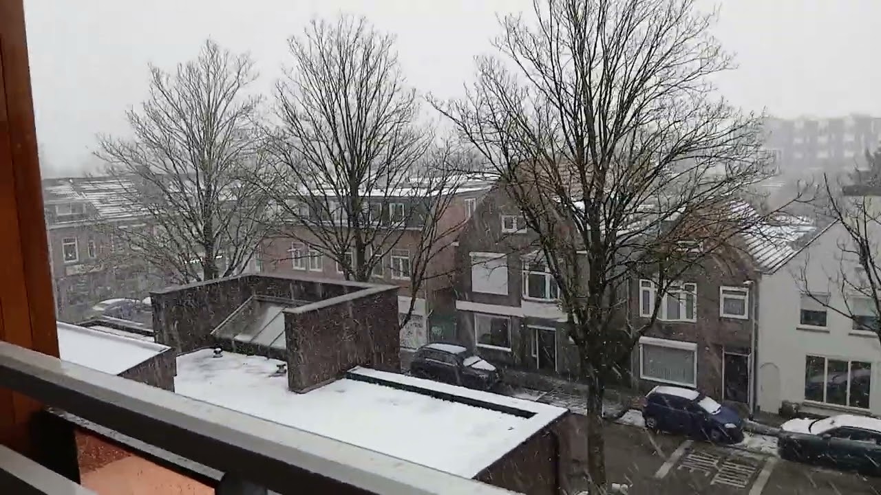 Bahagia tak penuh krn di ujung pohon sana ada seekor burung yg sedang menderita kedinginan 