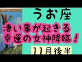 【11月後半の運勢】うお座　凄い事が起きるよ。幸運の女神が降臨！超細密✨怖いほど当たるかも知れない😇#星座別#タロットリーディング#うお座