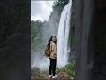 Munnar Tea Gardens in 4K 🌿 Cinematic Travel Vlog | Peaceful Nature Views #naturevlog #travelshorts