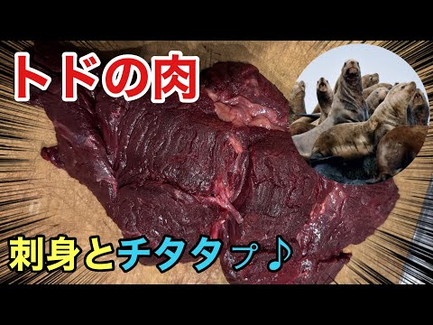 Delicacy [Seal meat] Sashimi and Chitatappu ♪ How does it taste