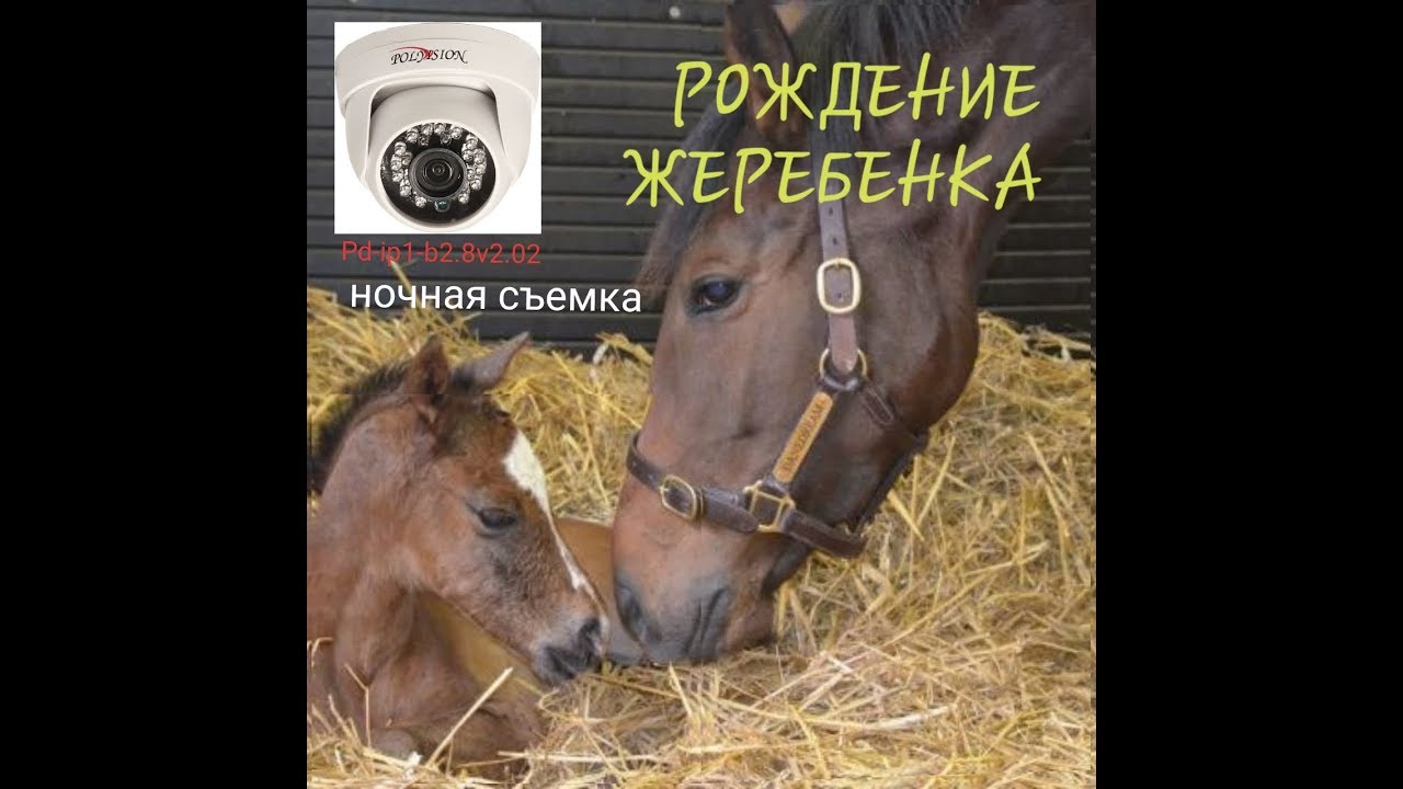 Ночная съемка с камеры Polyvision PD-IP1-B2.8 v2.02