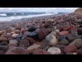 A Windy Day At Point Iroquois