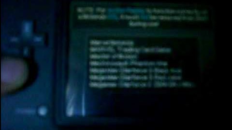 How to use an DSI Action Replay