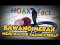 Hoax or Fact: Bawang Merah Dapat Menetralisir Racun Ular Kobra?