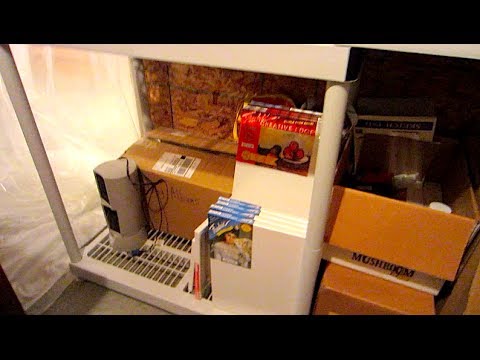 BASEMENT HOARDING!!! ---- Day 74: 11/4/13 - BASEMENT HOARDING!!! ---- Day 74: 11/4/13