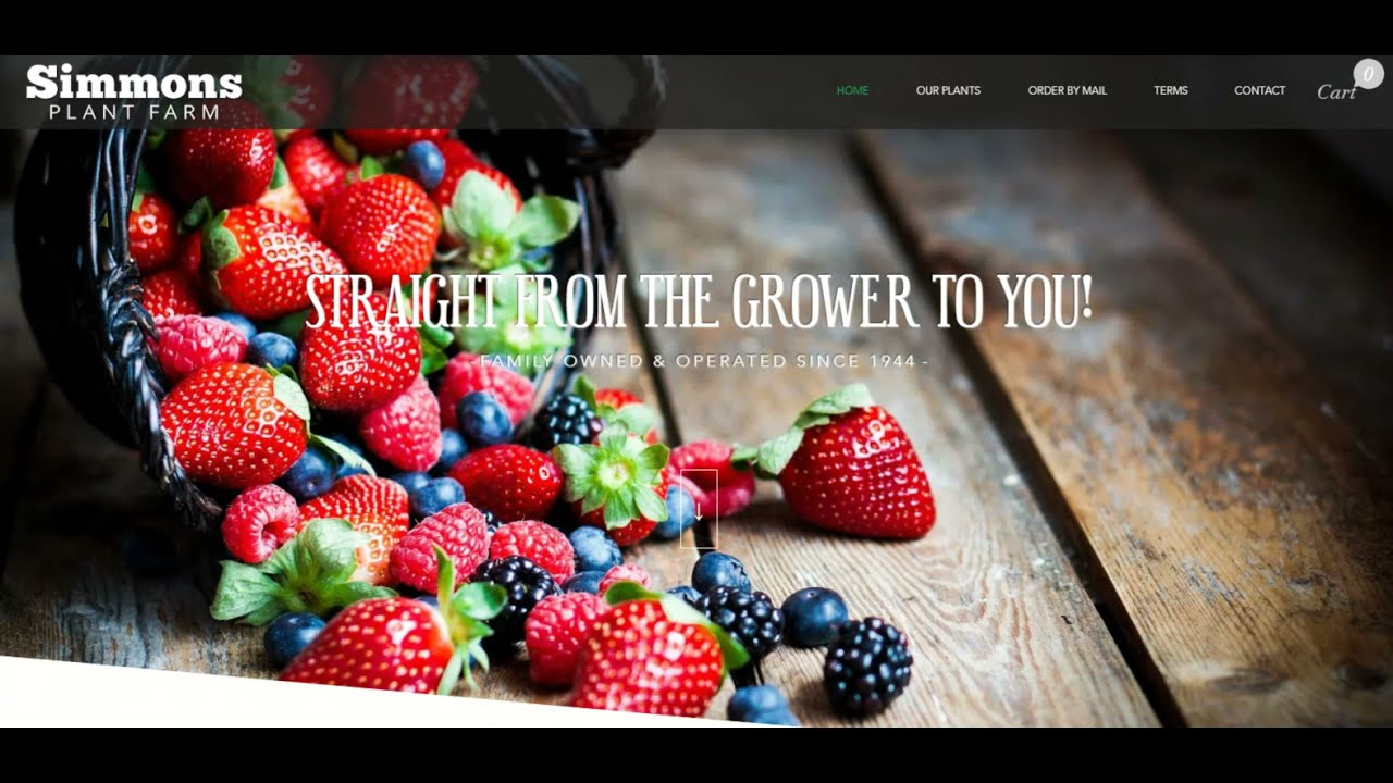 Plant Farm Web Design Project | 10com Web Development