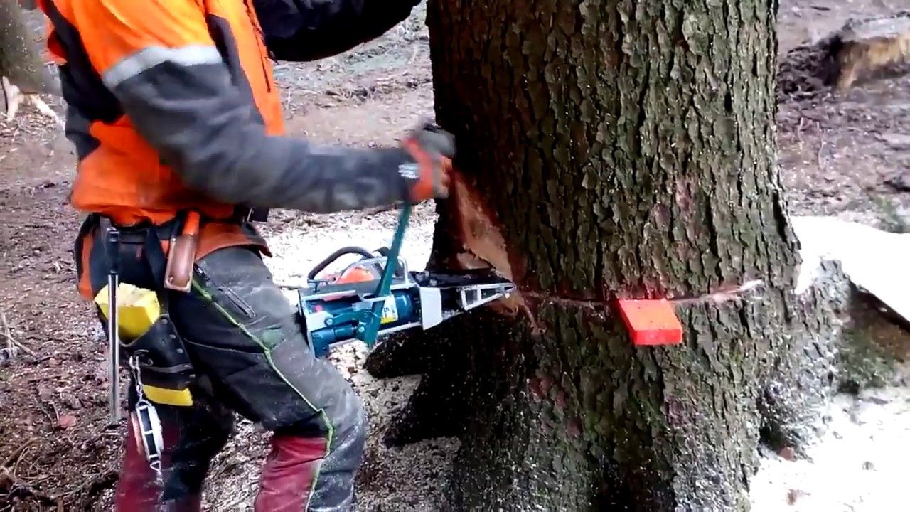 Hydrokeil Fällkeil Kegelapslter Holzspalter Sägehilfe Kettensäge Stihl Husqvarna Bäume sägen