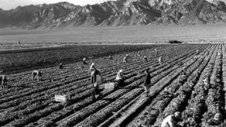 Toxic Agriculture pt 1