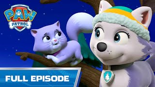 Everest Saves Cali In The Woods | 418 | Paw Patrol Full Episode | Cartoons For Kids