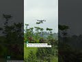 AGRAS T100 - Durian Spot Spraying
