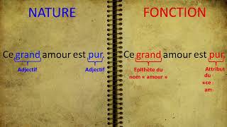 Natures et fonctions.