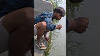 😂 Ei video ta dekhe hashi control korte parbe na! 😭🤣Tumi o emon korecho? 👇Comment koro “