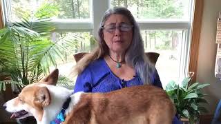 #148 Emotion Code Session - Conversations with a Corgi Ep. 148
