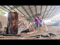 Why Antique Wood Is Worth a Premium ‼️ Sawmill Insights