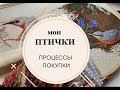 МОИ ПТИЧКИ | ПРОЦЕССЫ | ЭСТЭ |  ХАЕД | ПОКУПКИ