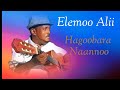 Elemoo Alii Hagoobara Naannoo Old Oromoo Music 2024 Elemoo Alii Hagoobara Naannoo Old Oromoo Music 2024