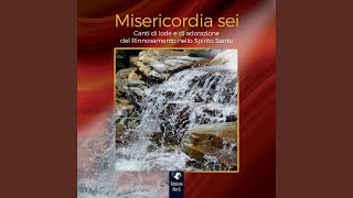 Video thumbnail of "Rinnovamento nello Spirito Santo - Misericordia sei (Canti di lode e di adorazione del Rinnovamento nello Spirito Santo)"