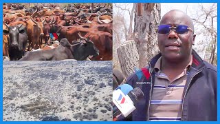 RC ATANGAZA OPARESHENI YA KUONDOA MIFUGO HIFADHI YA TAIFA RUAHA