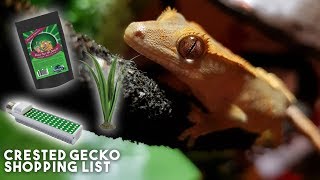 What To Buy Your Pet Crested Gecko // Setup, Substrate, Food, Lighting, etc