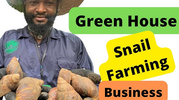 How to Start a Successful Green house Snail Farm with less capital | Interview | Beginners Guide