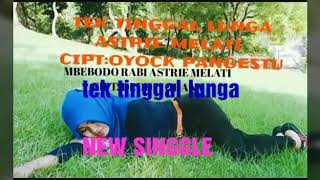 NEW SINGGLE .TEK TINGGAL LUNGA VOC ASTRIE MELATI CIPT OYOCK PANGESTU