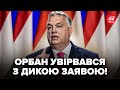 😲Орбан ОСКАЖЕНІВ! Слухайте, що ВИДАВ про ВІЙНУ.Такого ПОВОРОТУ у ЄС не ЧЕКАЛИ. Дослухайте ДО КІНЦЯ