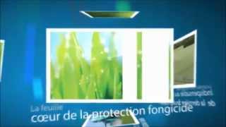 Xemium® et la protection fongicide foliaire des céréales