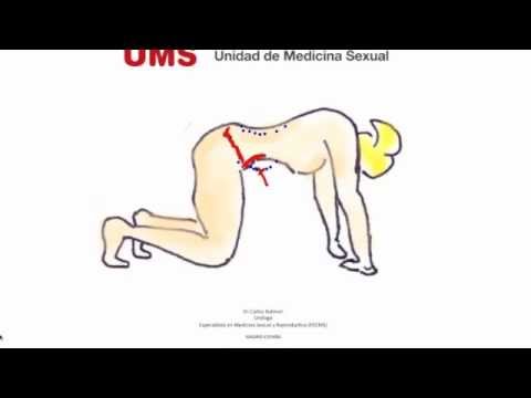 Ejercicios de Suelo Pélvico