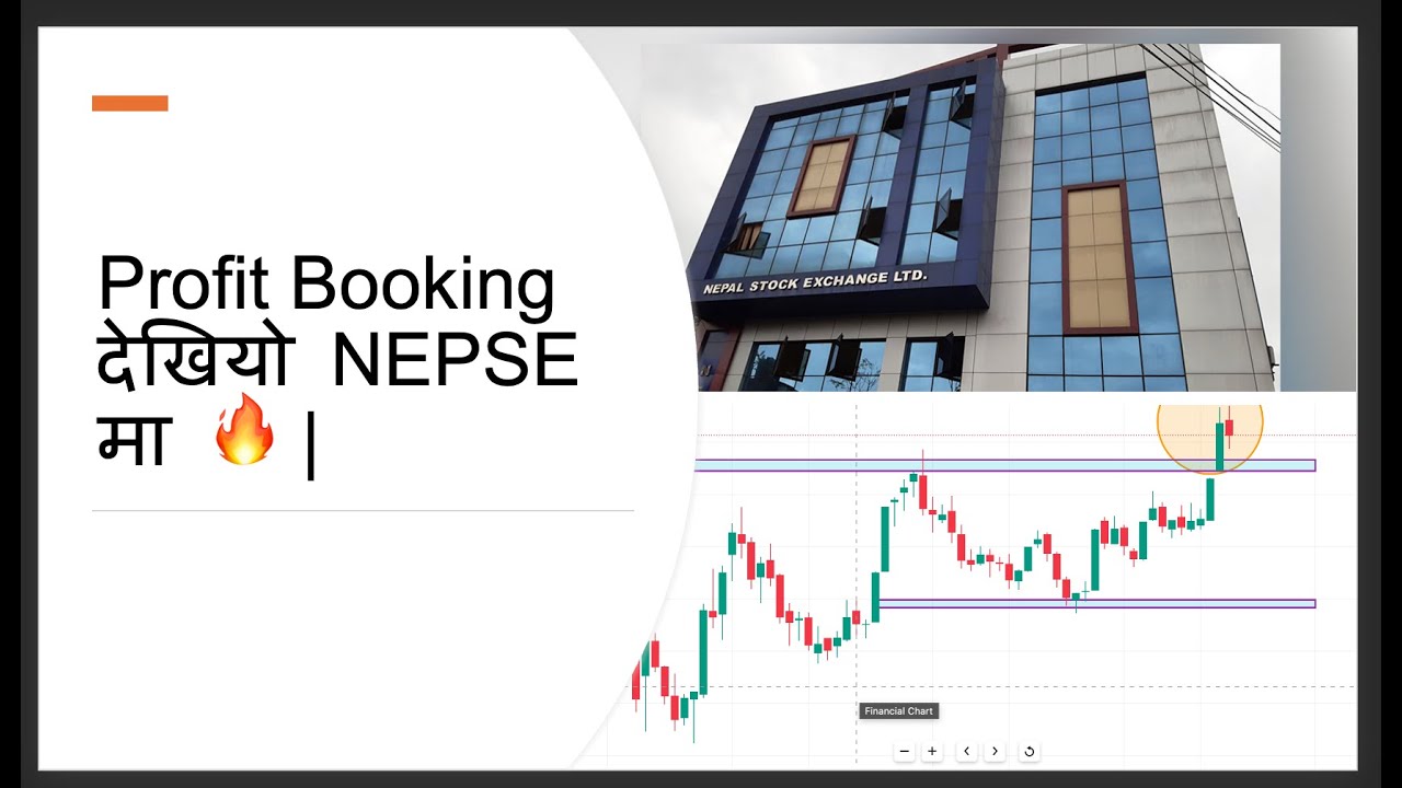 The Bulls Are Fighting Back