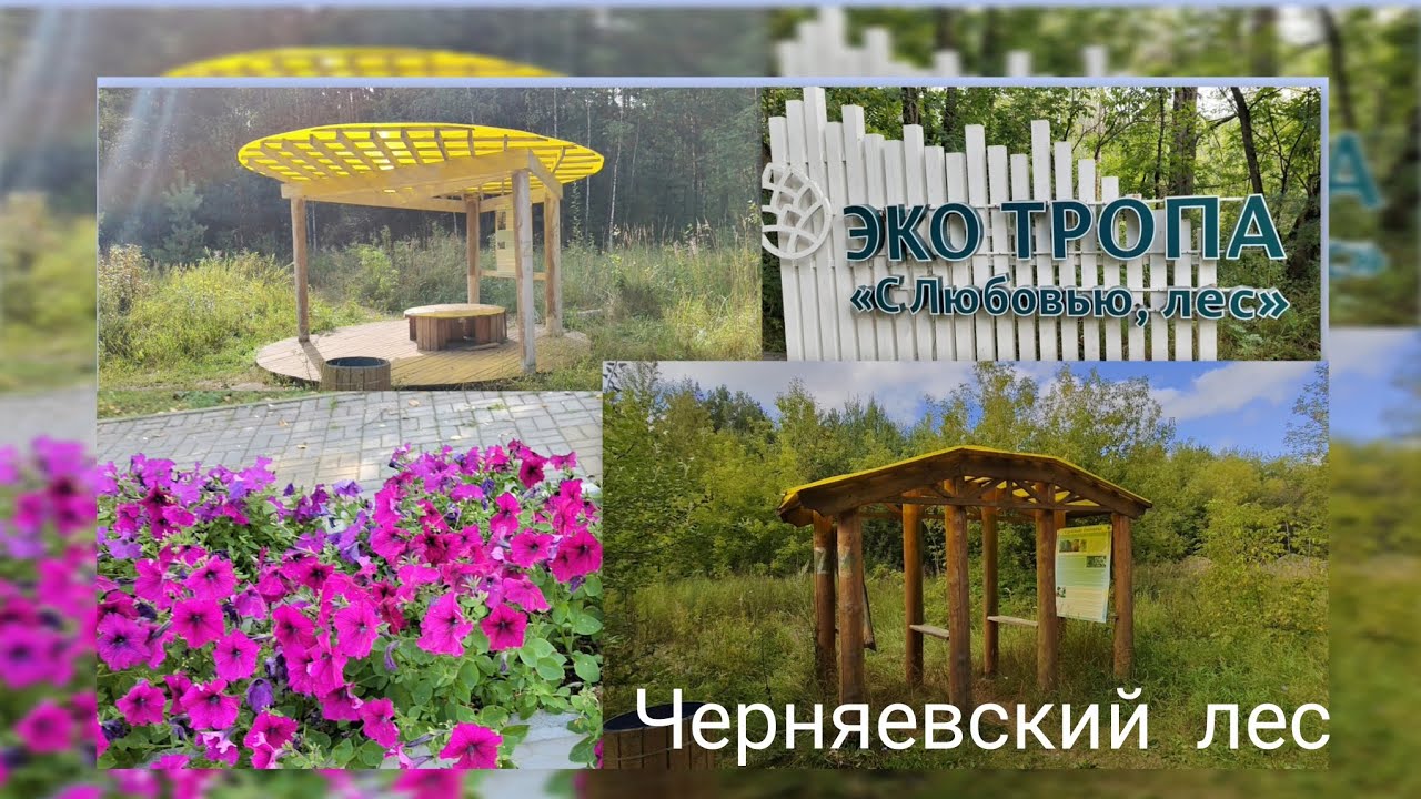 Почему мы пропадали? // Заблудились в лесу// Открыли новый маршрут