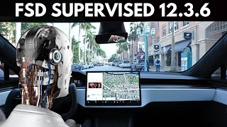 New Tesla Plaid Full Self Driving 12.3.6 Review - Will It Take Me To My Destination?