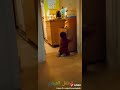 الطفل العبقري عمره ١١ شهر Das Intelligent Kind 11 Monat Alt الطفل العبقري عمره ١١ شهر Das Intelligent Kind 11 Monat Alt
