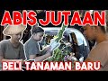 HOBI BARU BANYAK ARTIS, BERCOCOK TANAM #DiRumahAja