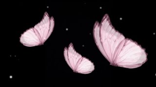 Abstract Pinkish Butterfly with beautiful music background video for 30 mins screenshot 4