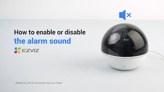 How to enable or disable the alarm sound screenshot 3