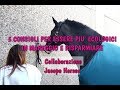 5 Idee per essere ecologici in maneggio e risparmiare 🌱 | Ft. Jacopo Horse | 🐴 HORSE PLANET