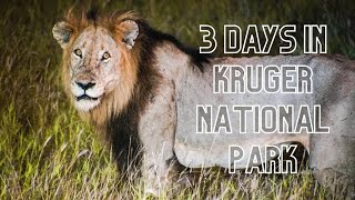 SouthAfrica | Join us for three days at Kruger Park