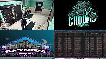 BSRP | Development | #fivem #development