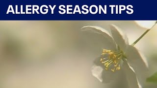 Spring allergy season returns with a vengeance